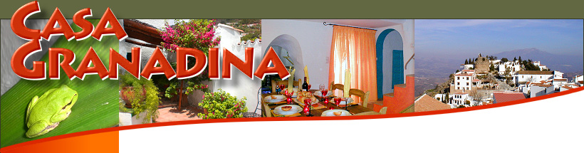 Bed and Breakfast Malaga, Andalucia Spain. Charming cheap accommodation with good food. 