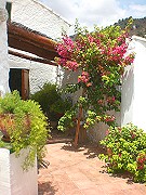 Green and fresh terrace Booking info for rural accommodation Comares